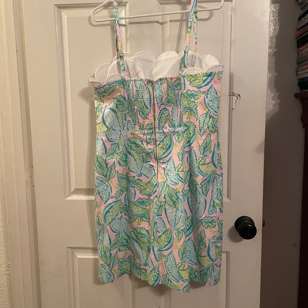 Lilly Pulitzer dress - Picture 5 of 5